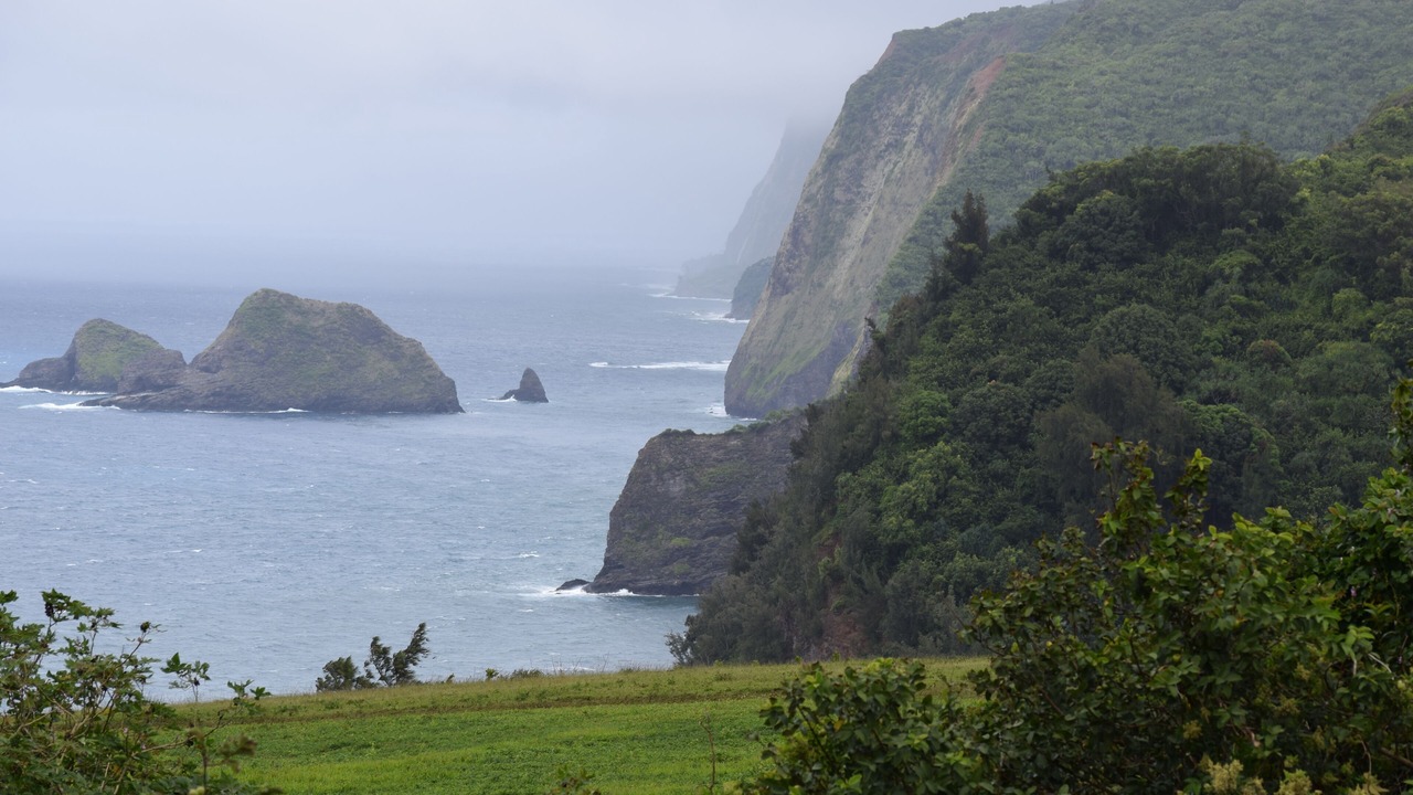 Photo of Others in Kailua-Kona