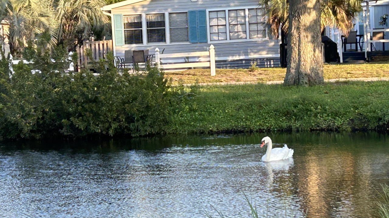 Photo of Others in Garden City
