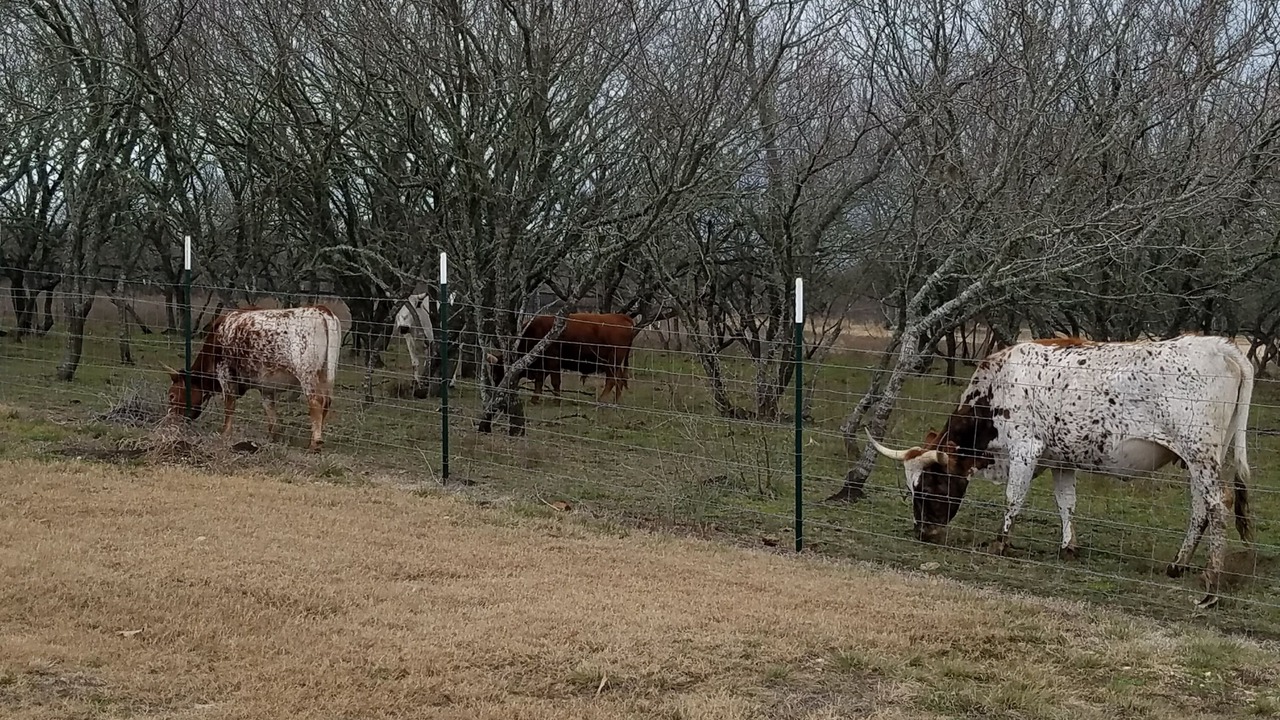 Photo of Outdoor in Kyle