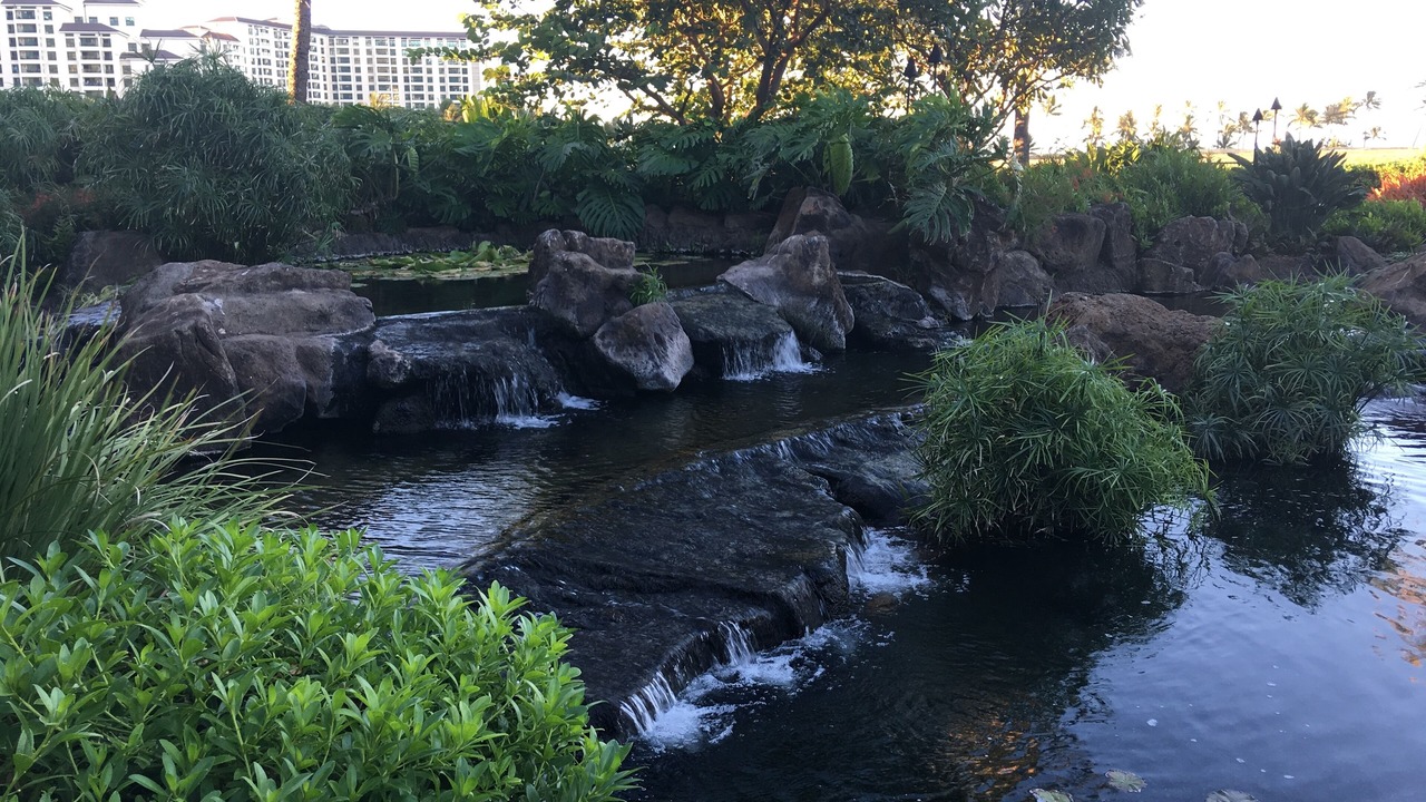 Photo of Others in Ko Olina