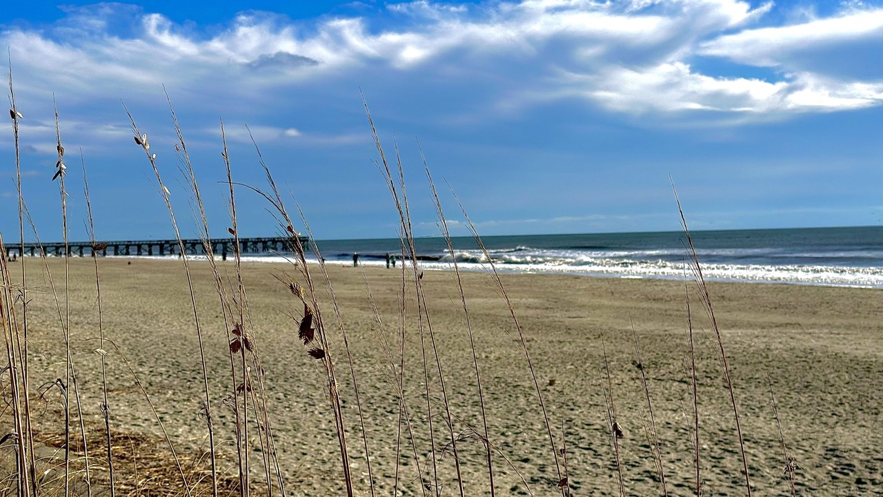 Photo of Others in Isle of Palms