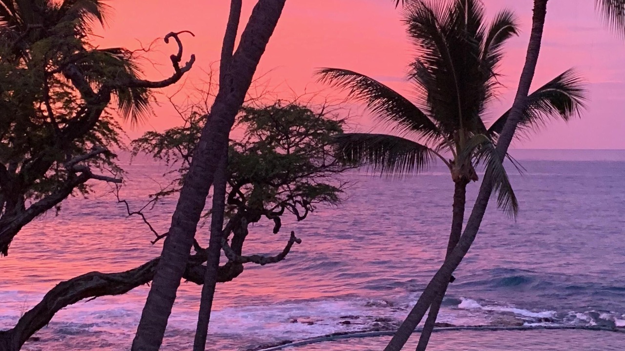 Photo of Others in Kailua-Kona