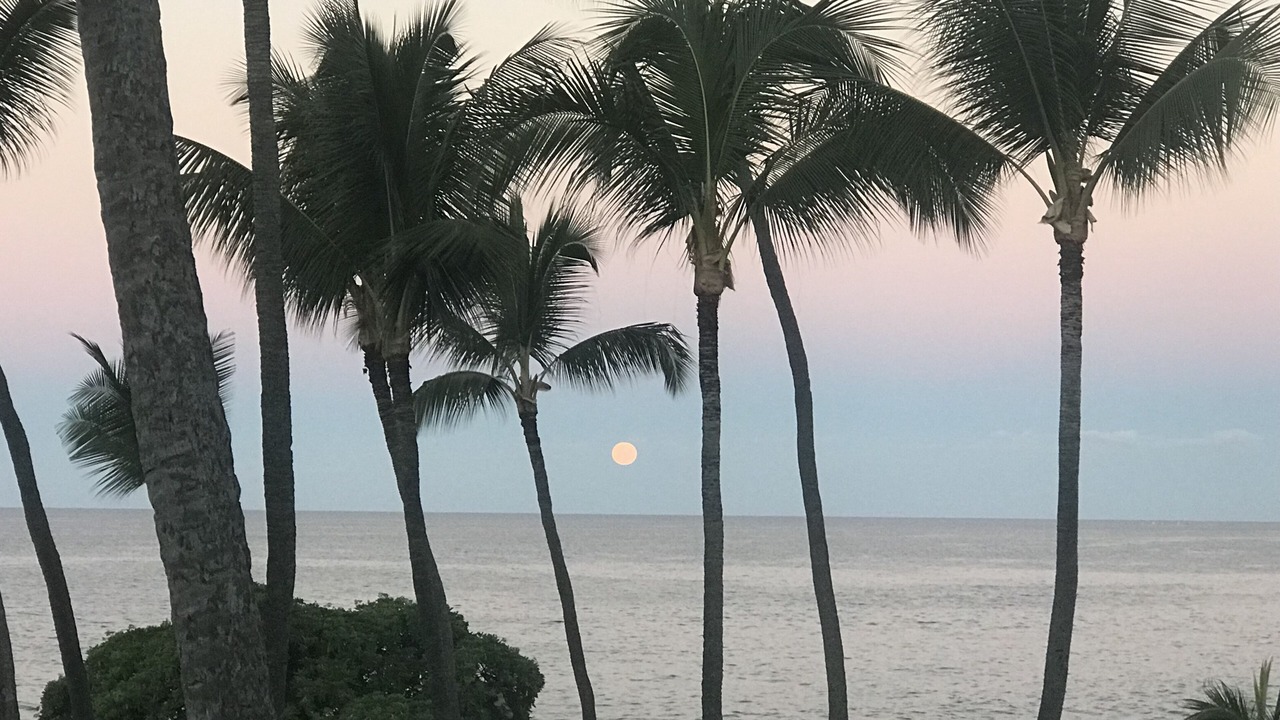 Photo of Others in Kailua-Kona