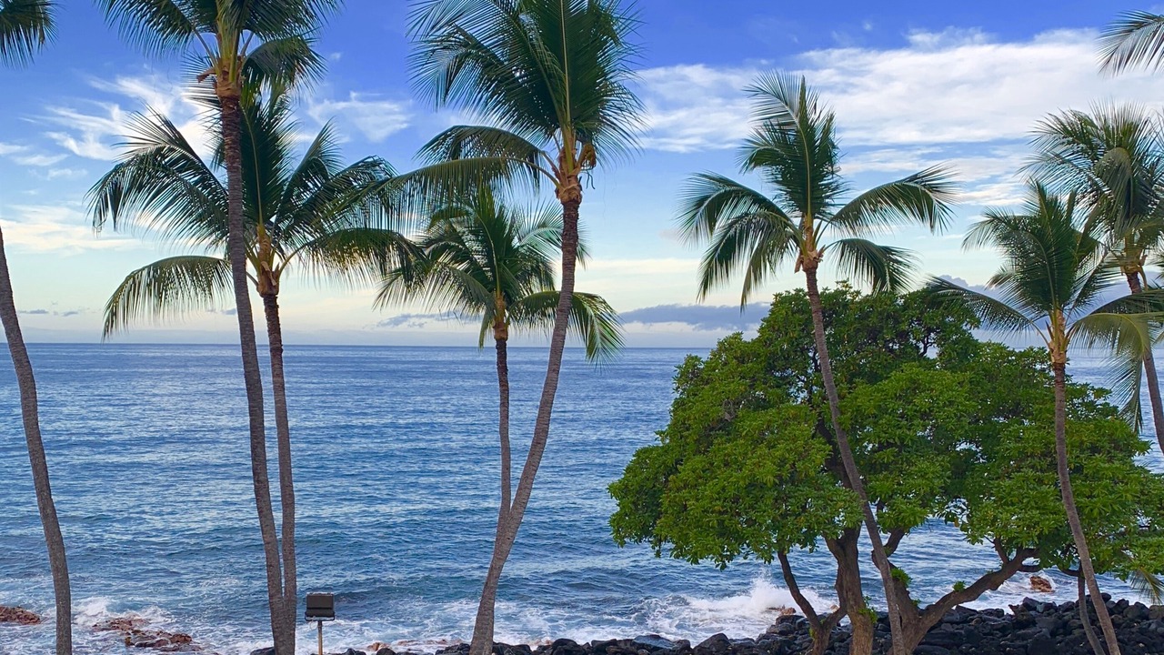 Photo of Others in Kailua-Kona