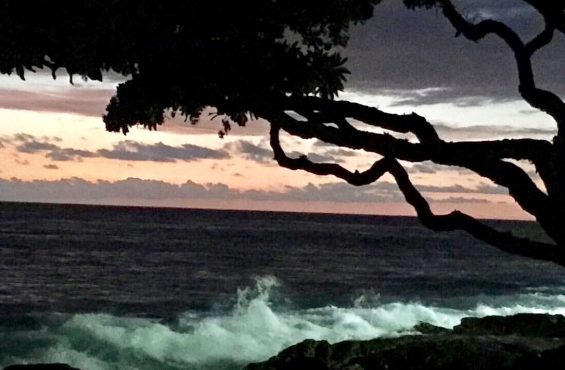 Photo of Others in Kailua-Kona