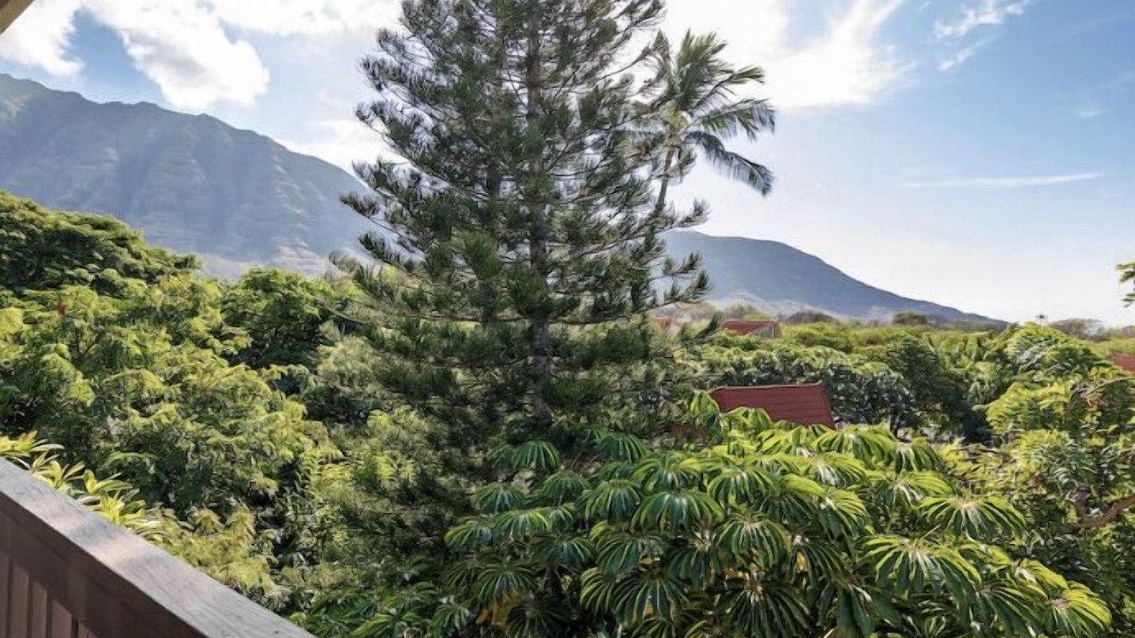 Photo of Others in Makaha Valley