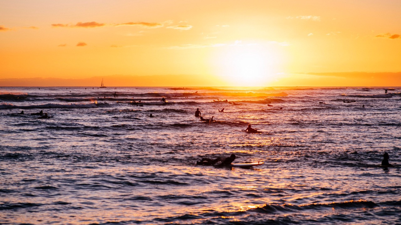 Photo of Others in Waikiki