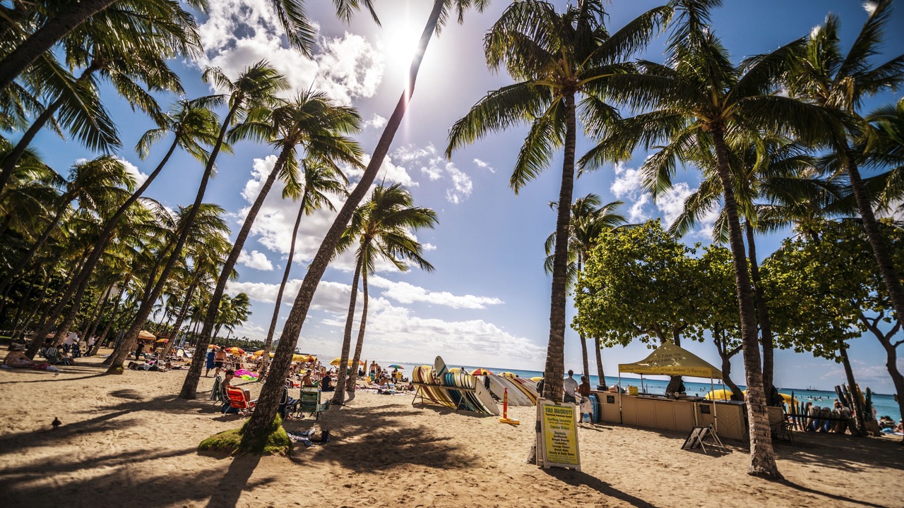 Photo of Others in Waikiki