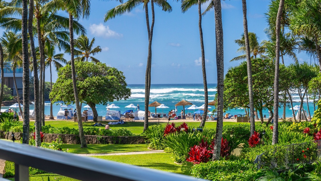 Photo of Outdoor in Kahuku