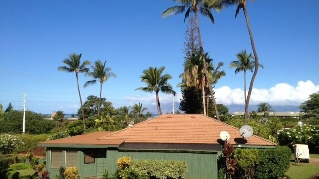 Photo of Others in Kaanapali