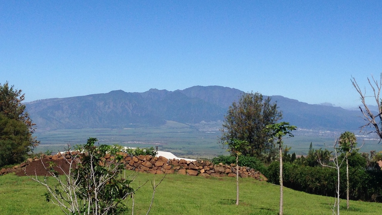 Photo of Others in Kula