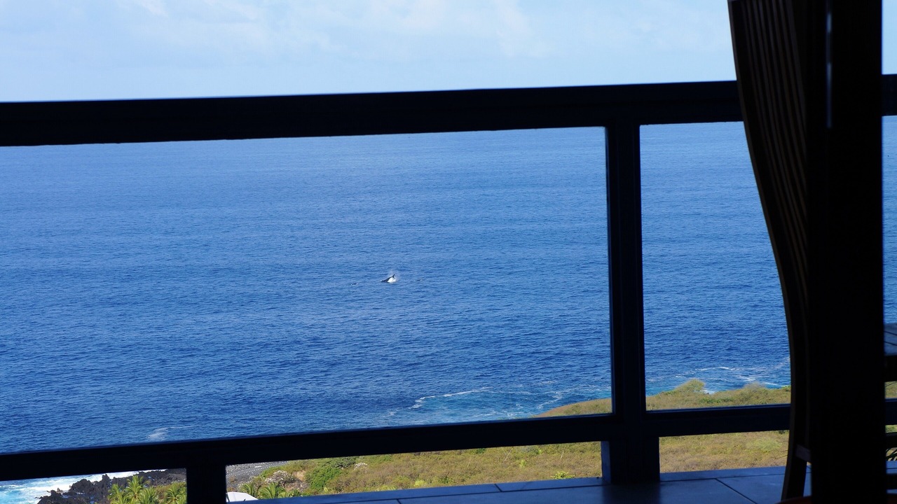 Photo of Others in Kona Paradise