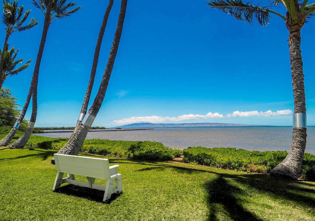 Photo of Outdoor in Kaunakakai