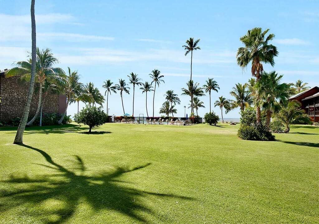 Photo of Outdoor in Kaunakakai