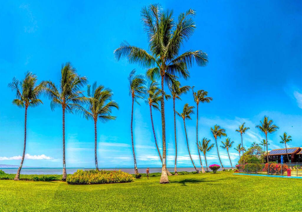 Photo of Outdoor in Kaunakakai