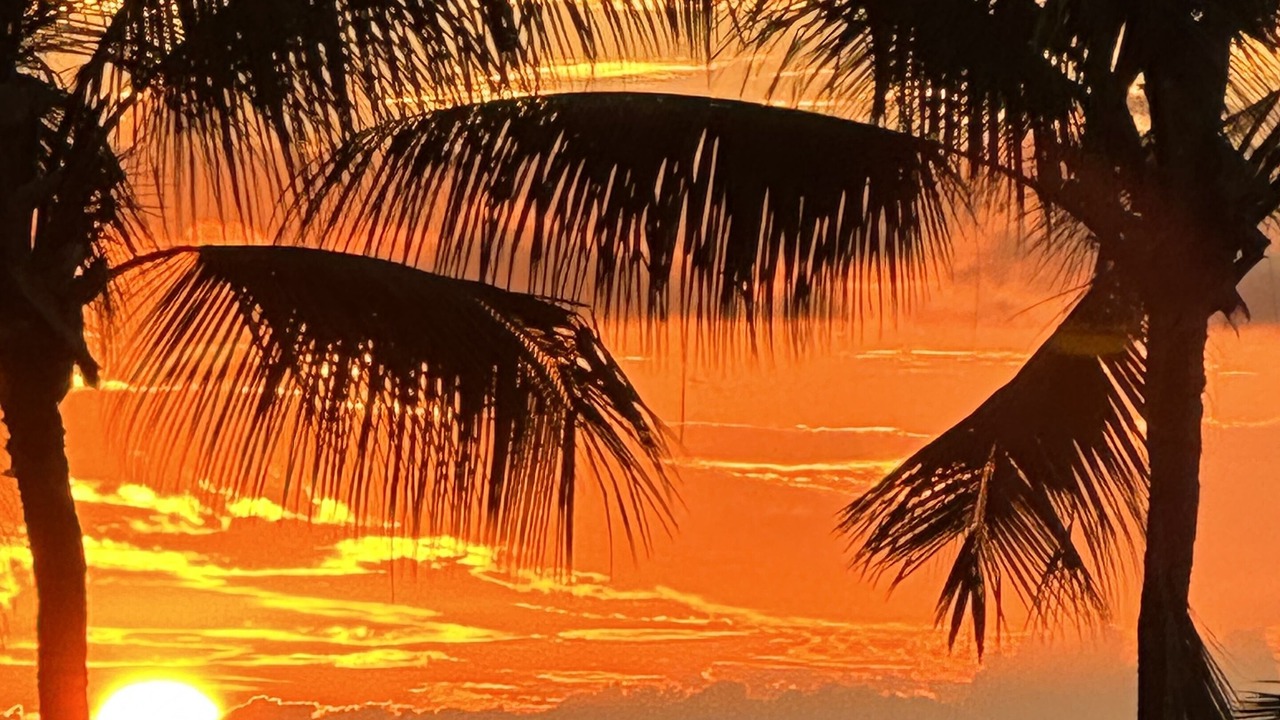 Photo of Others in Keauhou