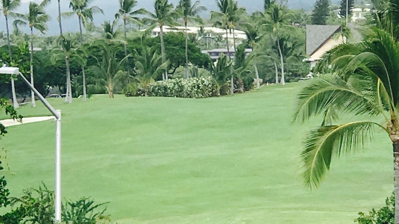 Photo of Others in Keauhou