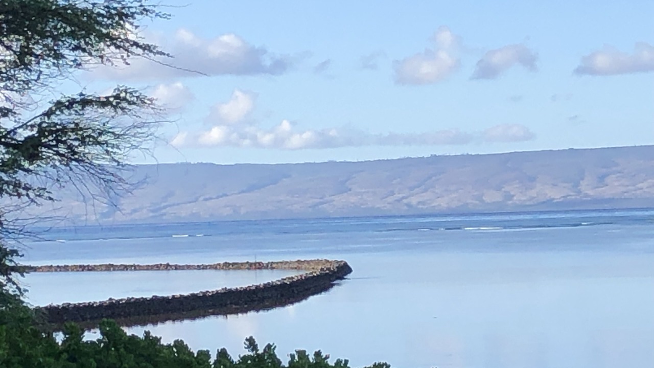 Photo of Others in Kaunakakai