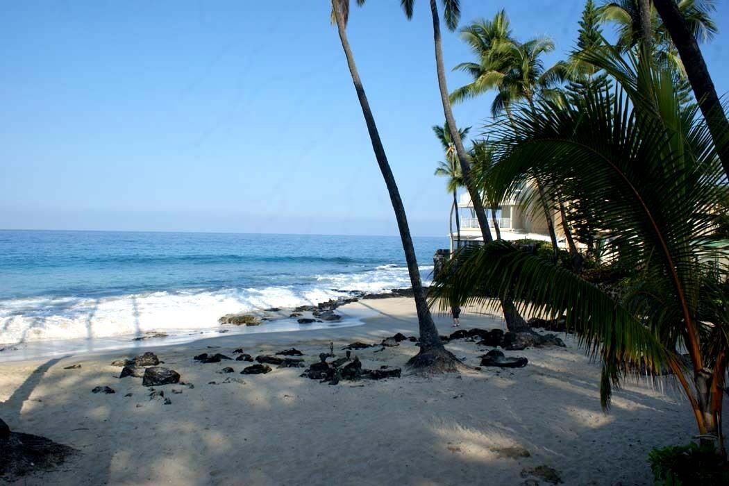 Photo of Others in Kahaluu Bay