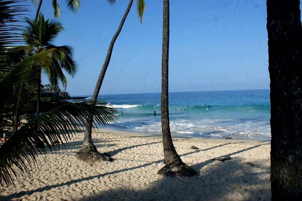 Photo of Others in Kahaluu Bay