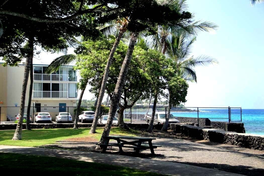 Photo of Others in Kahaluu Bay