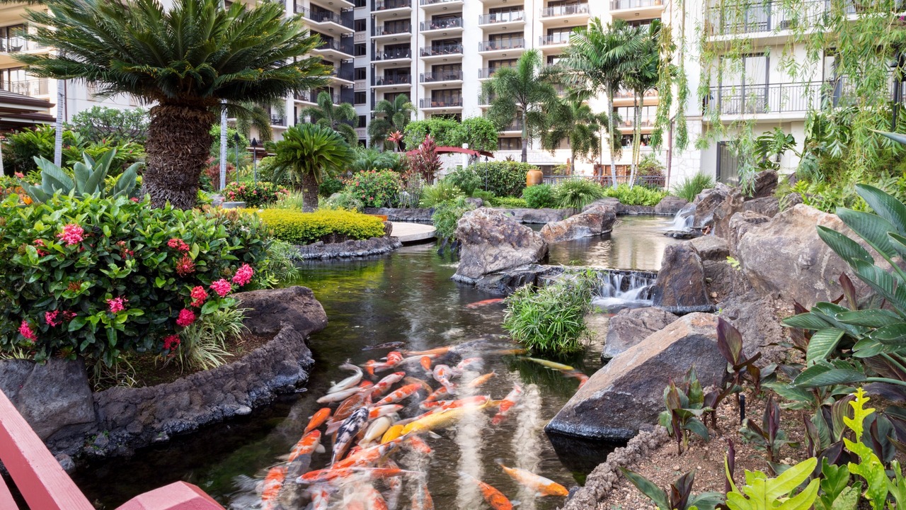 Photo of Others in Ko Olina