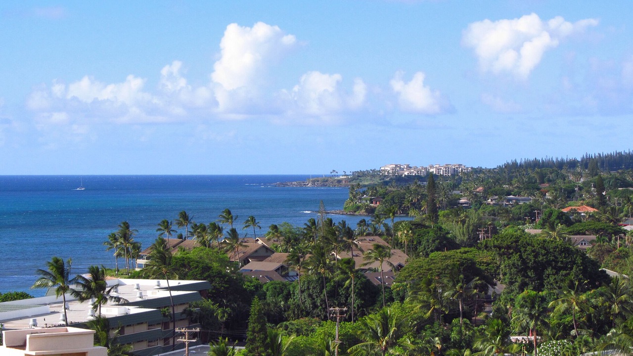 Photo of Others in Kahana