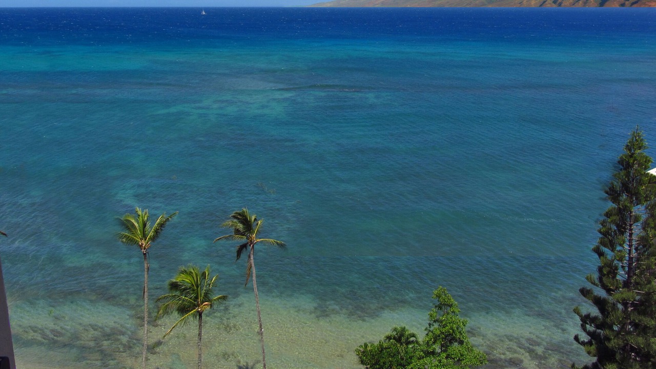Photo of Others in Kahana