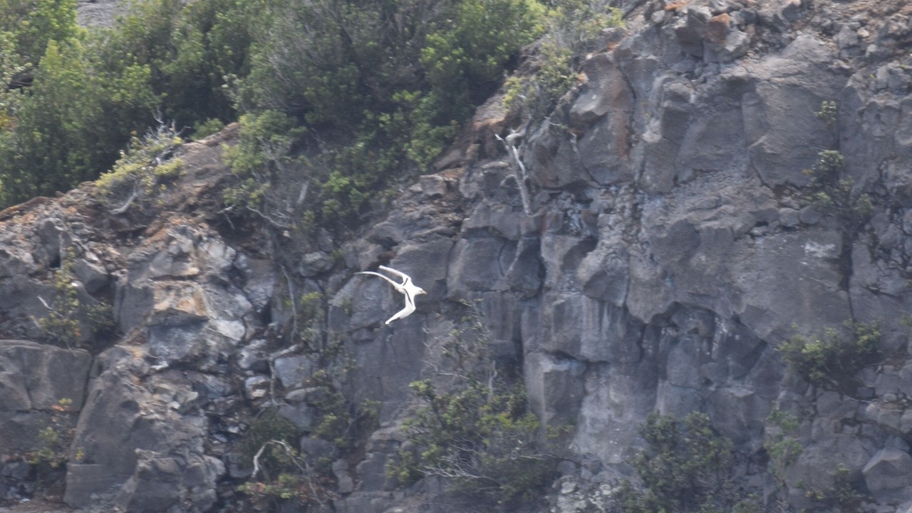 Photo of Others in Keaau
