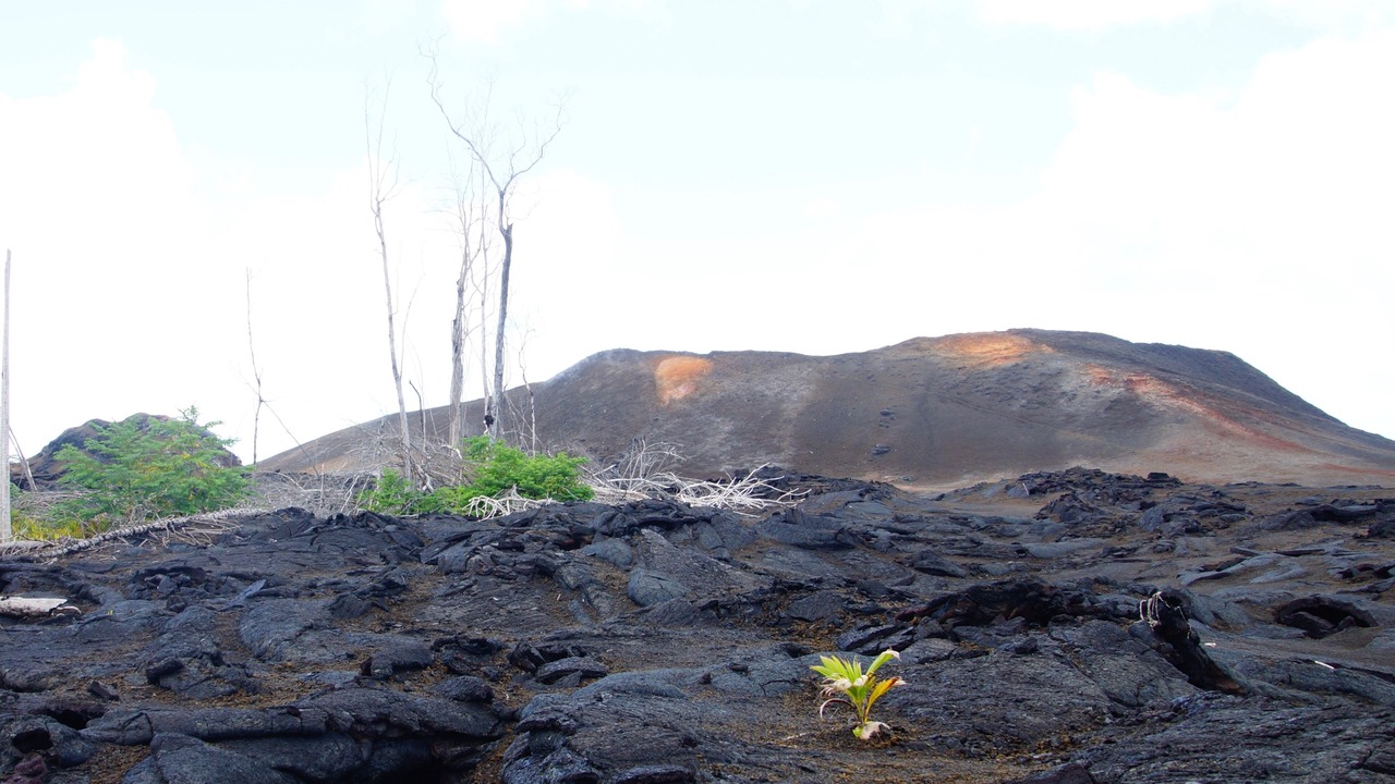 Photo of Others in Keaau