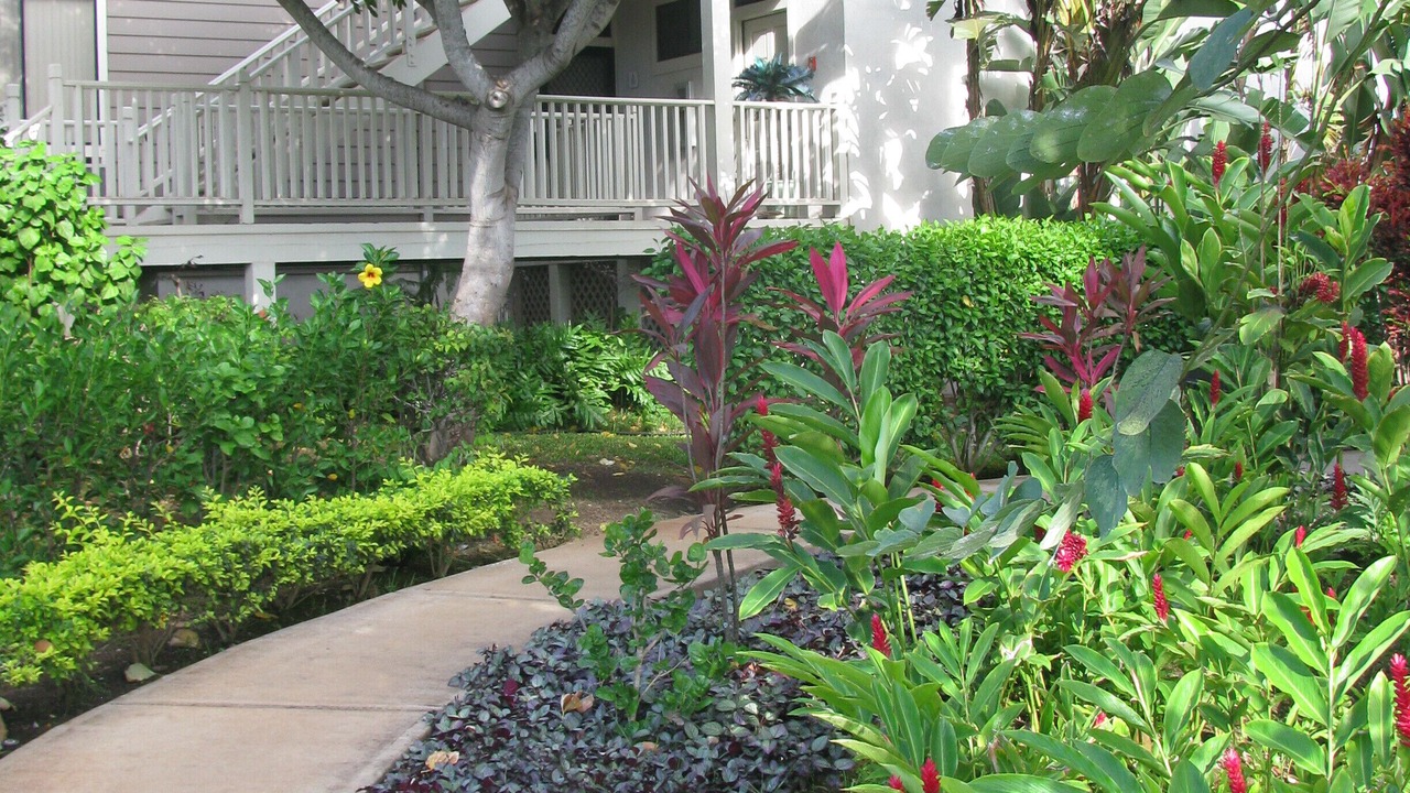Photo of Others in Wailea