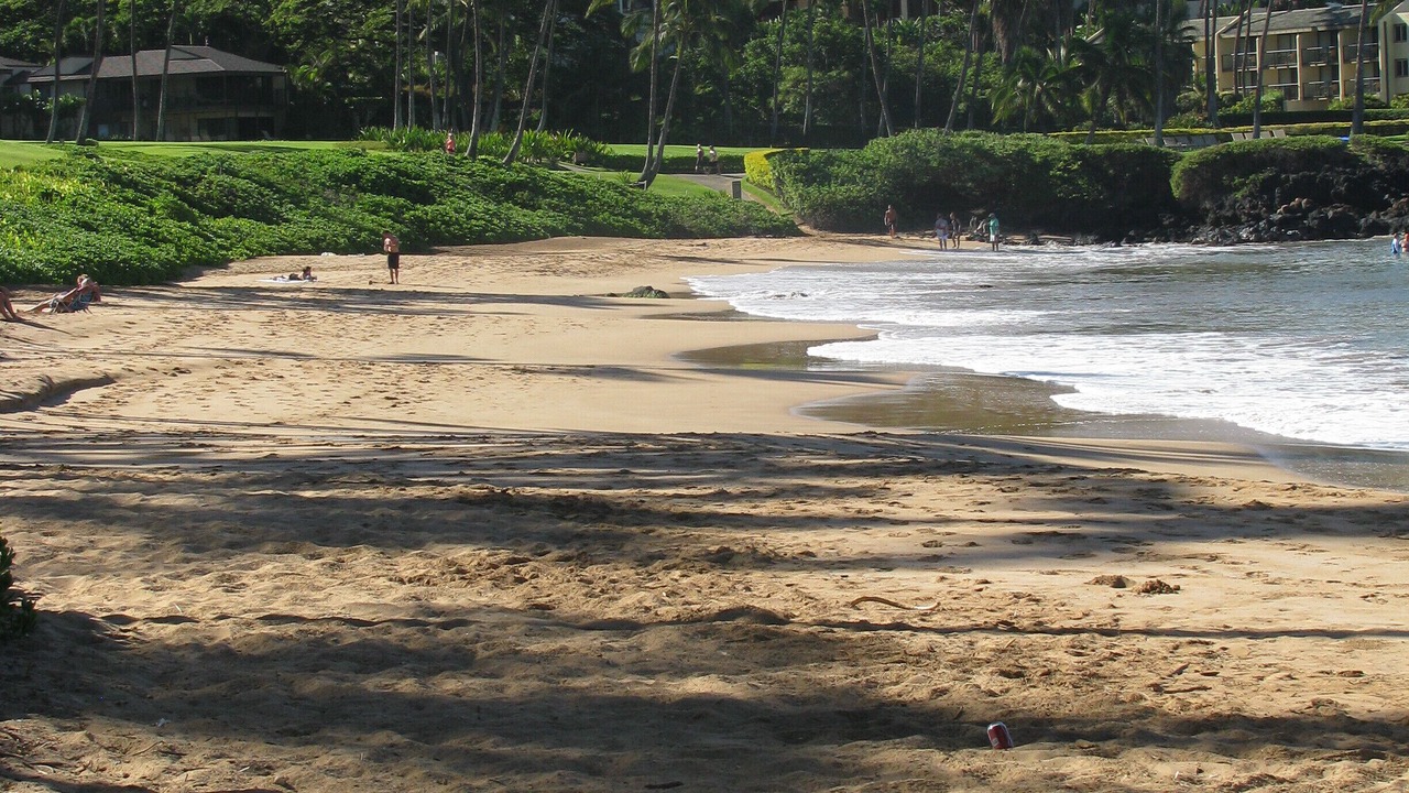 Photo of Others in Wailea