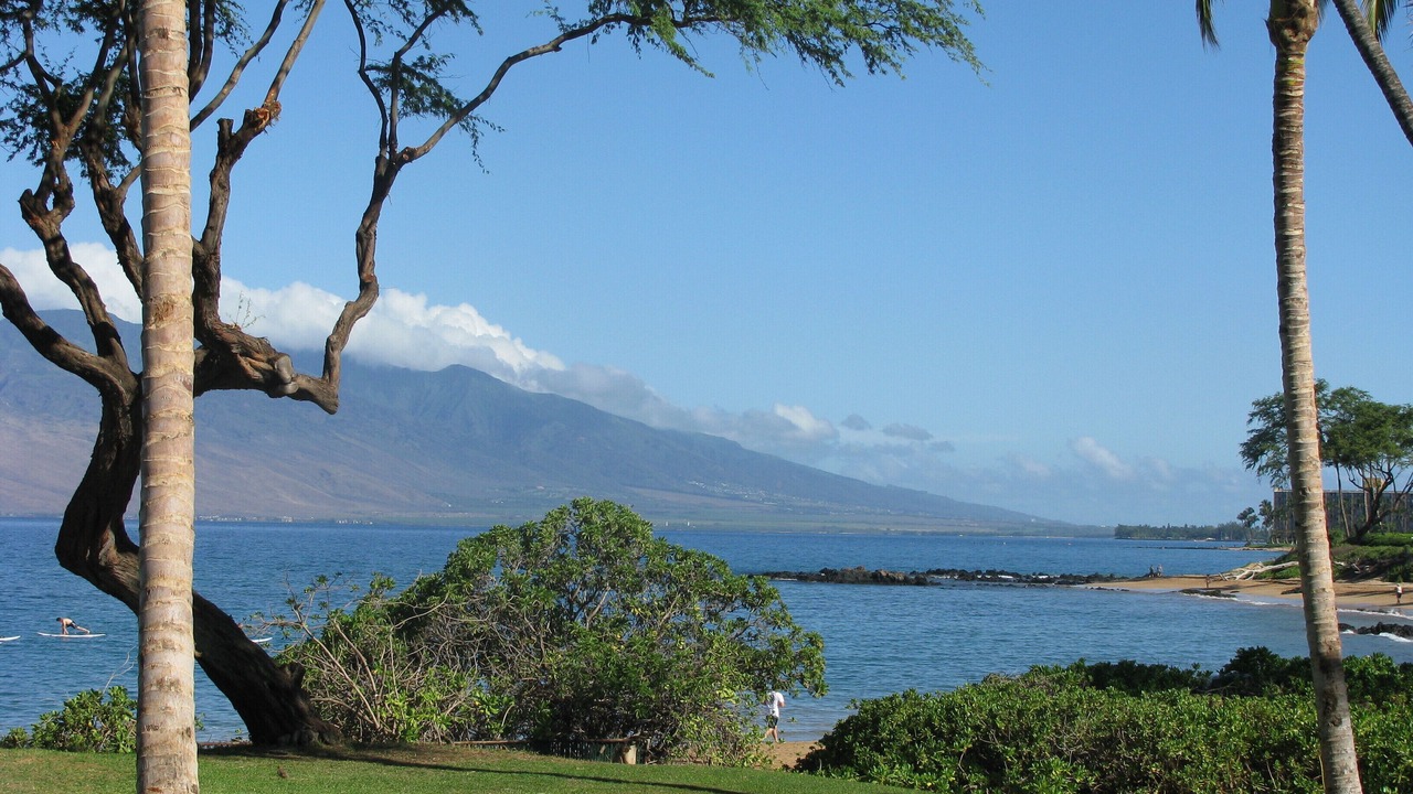 Photo of Others in Wailea