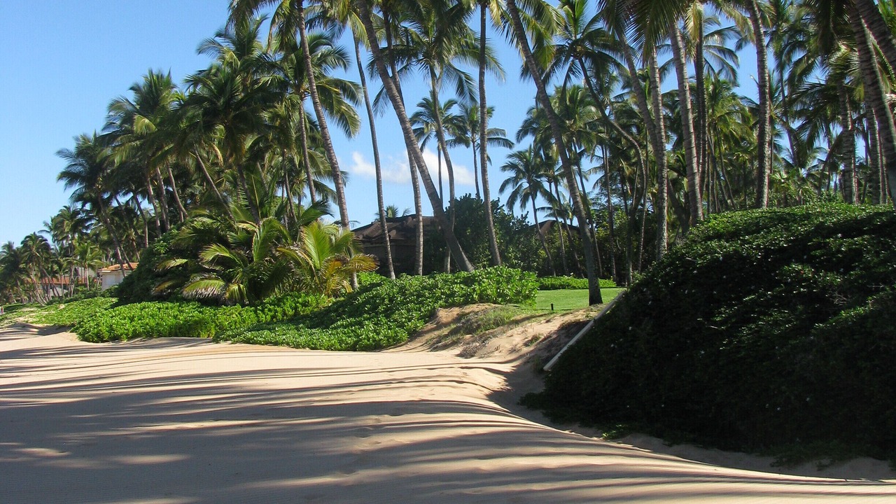 Photo of Others in Wailea