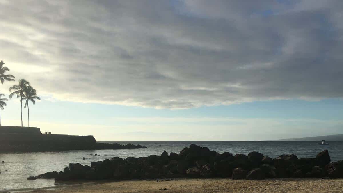Photo of Others in Kamuela