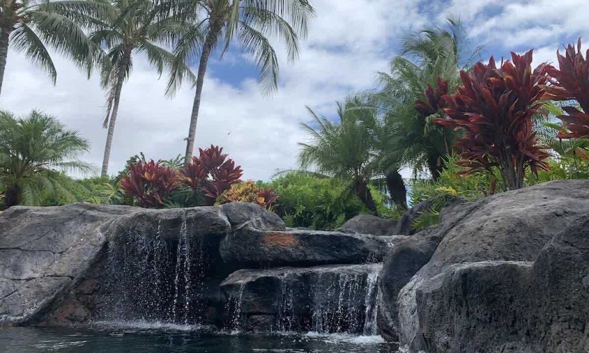 Photo of Outdoor in Kamuela