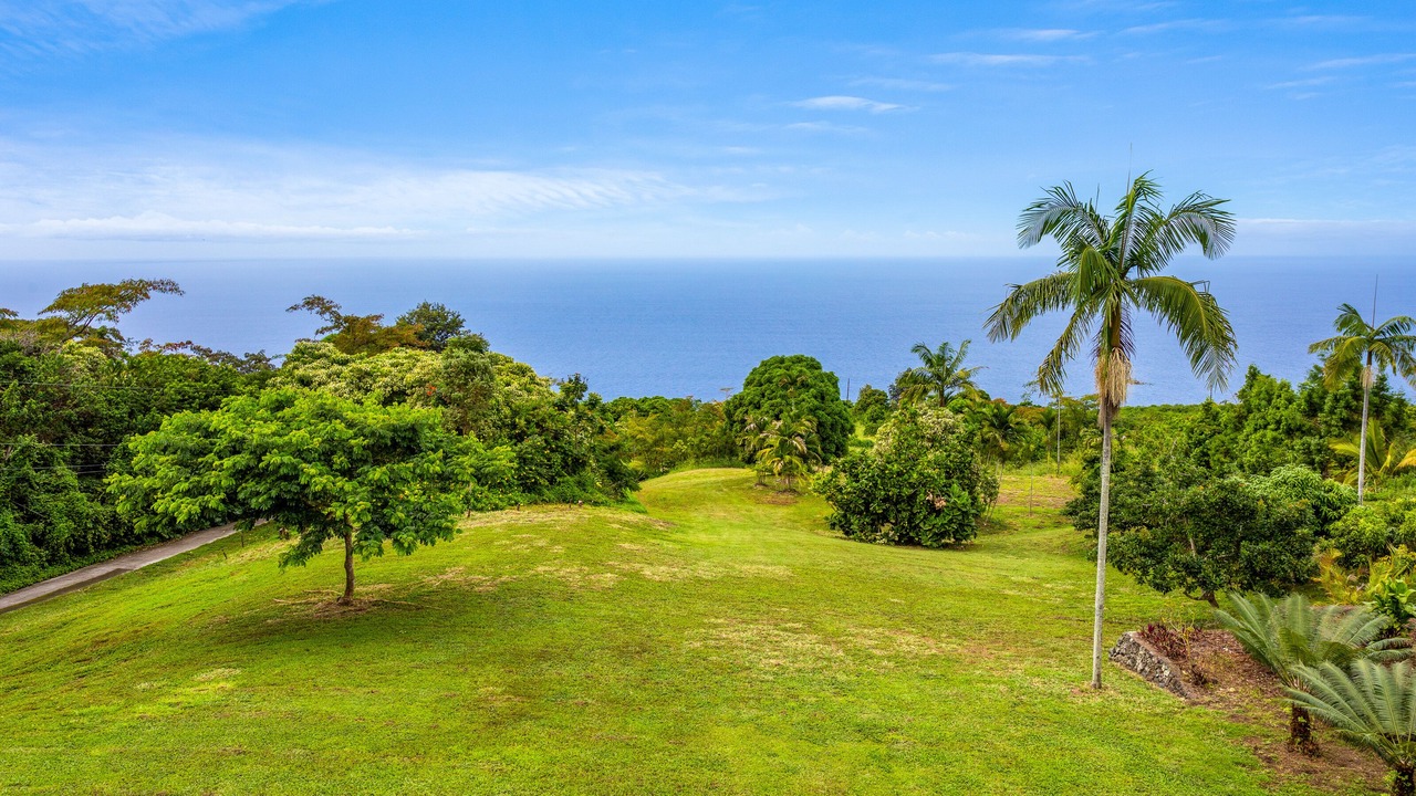Photo of Others in Opihihale
