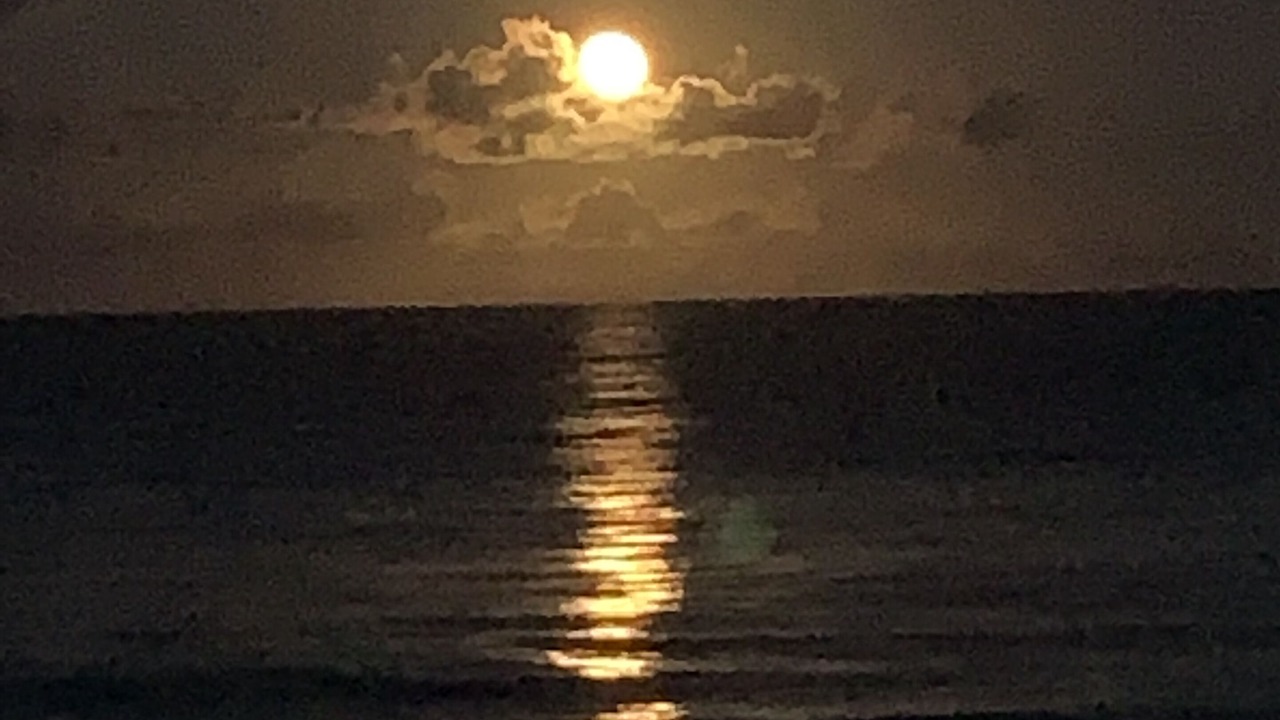 Photo of Others in Waimanalo