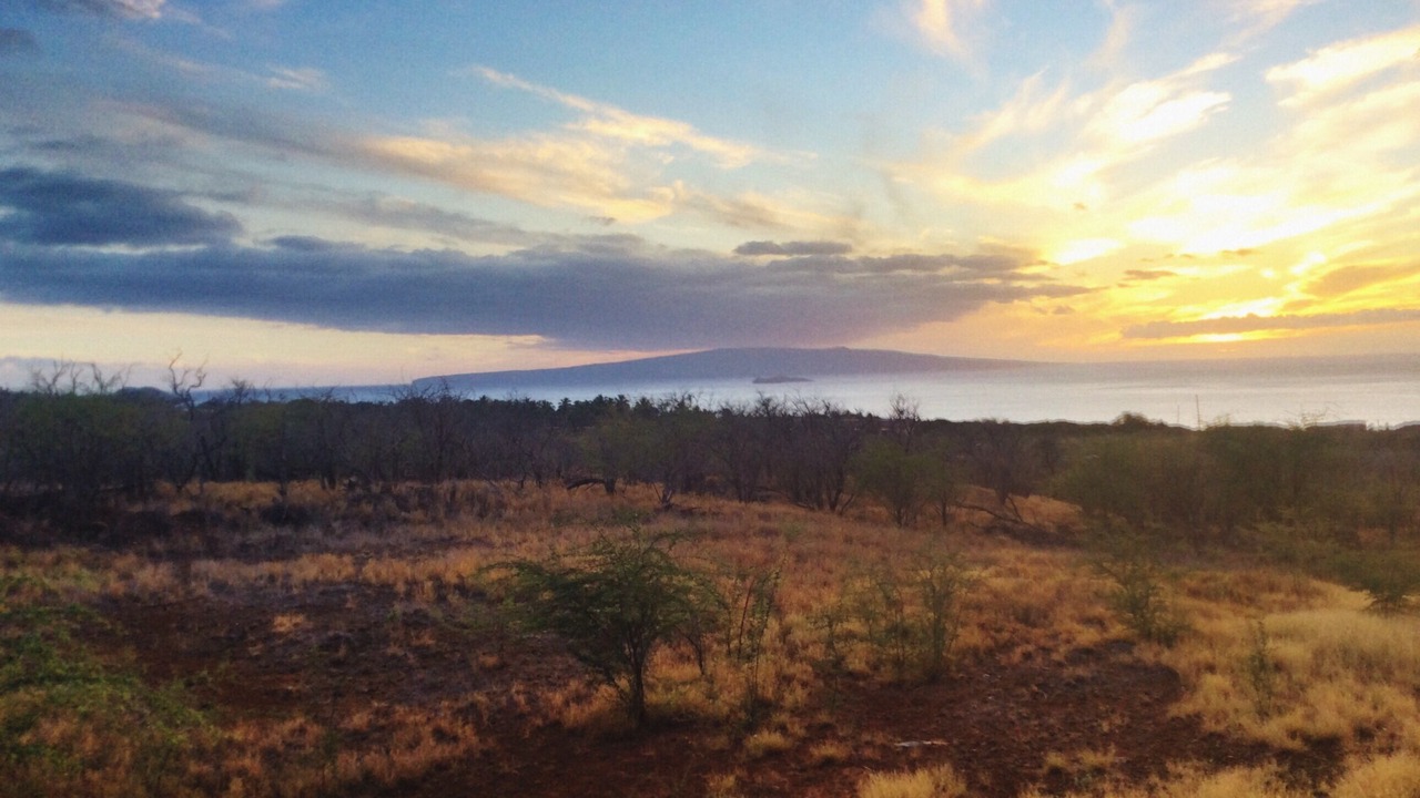 Photo of Others in Wailea