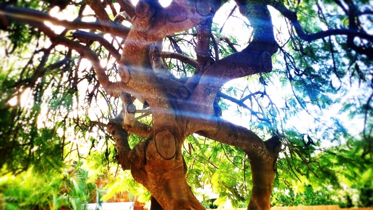 Photo of Outdoor in Wailea