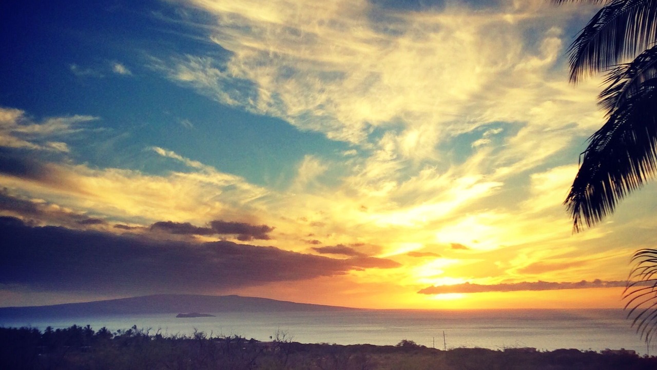 Photo of Others in Wailea