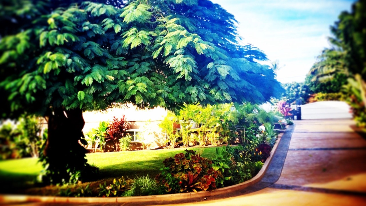 Photo of Outdoor in Wailea