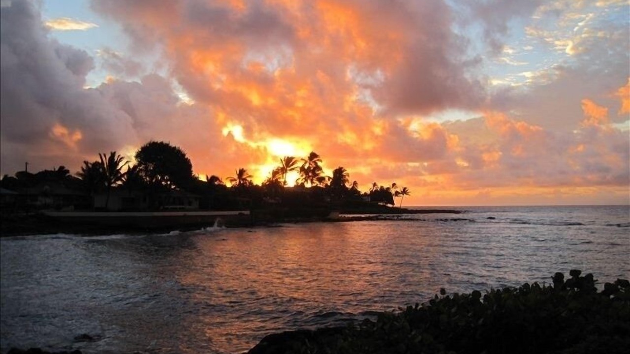 Photo of Others in Poipu