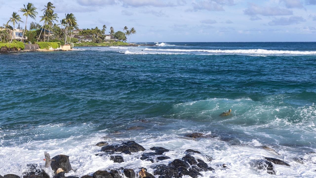 Photo of Others in Poipu
