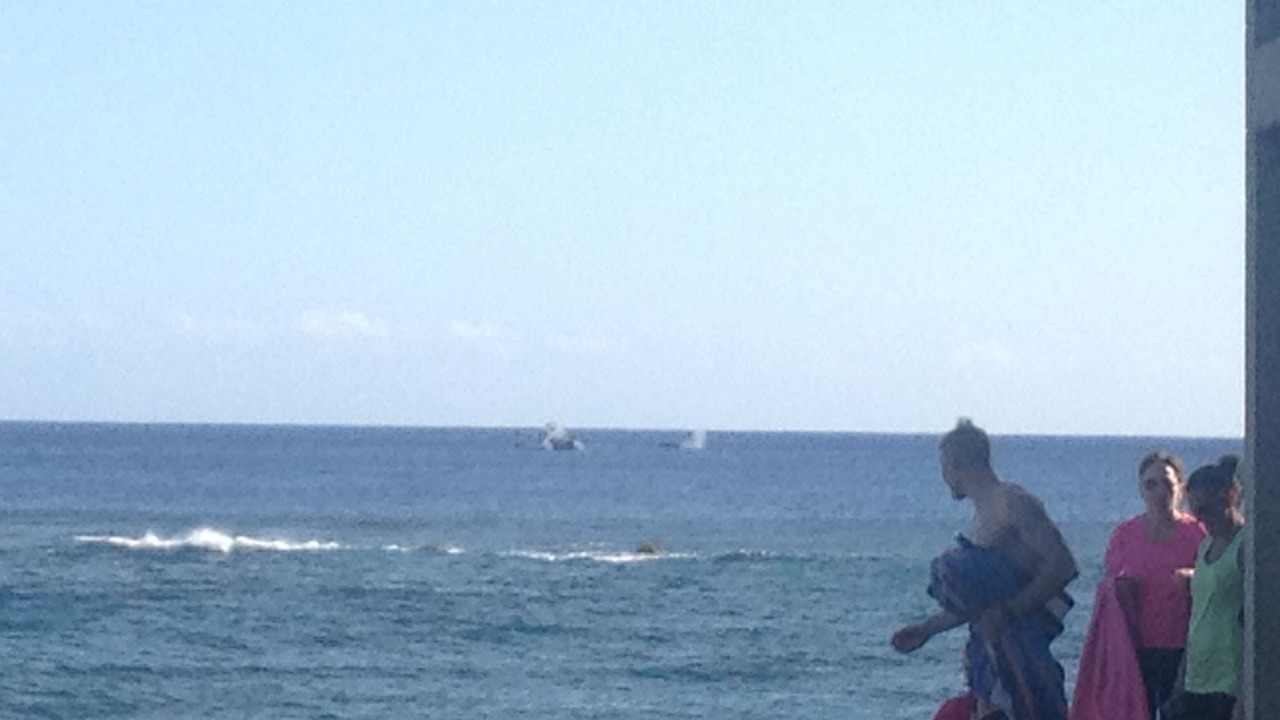 Photo of Others in Poipu
