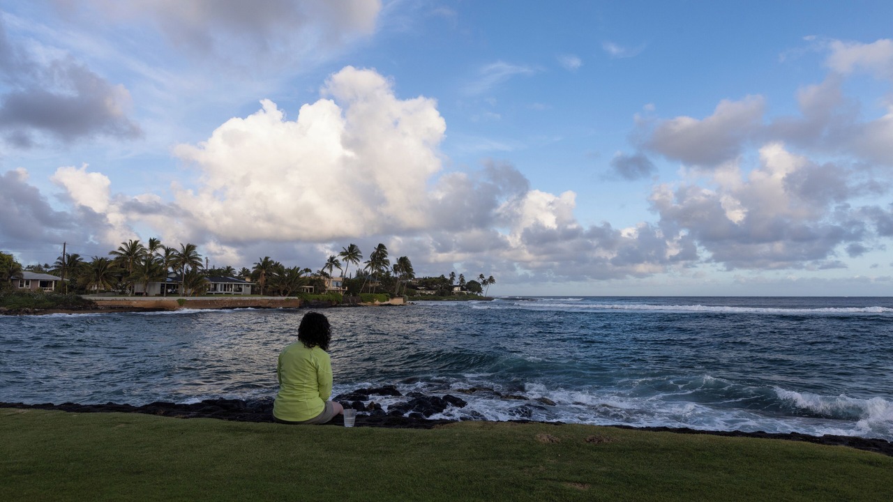 Photo of Others in Poipu