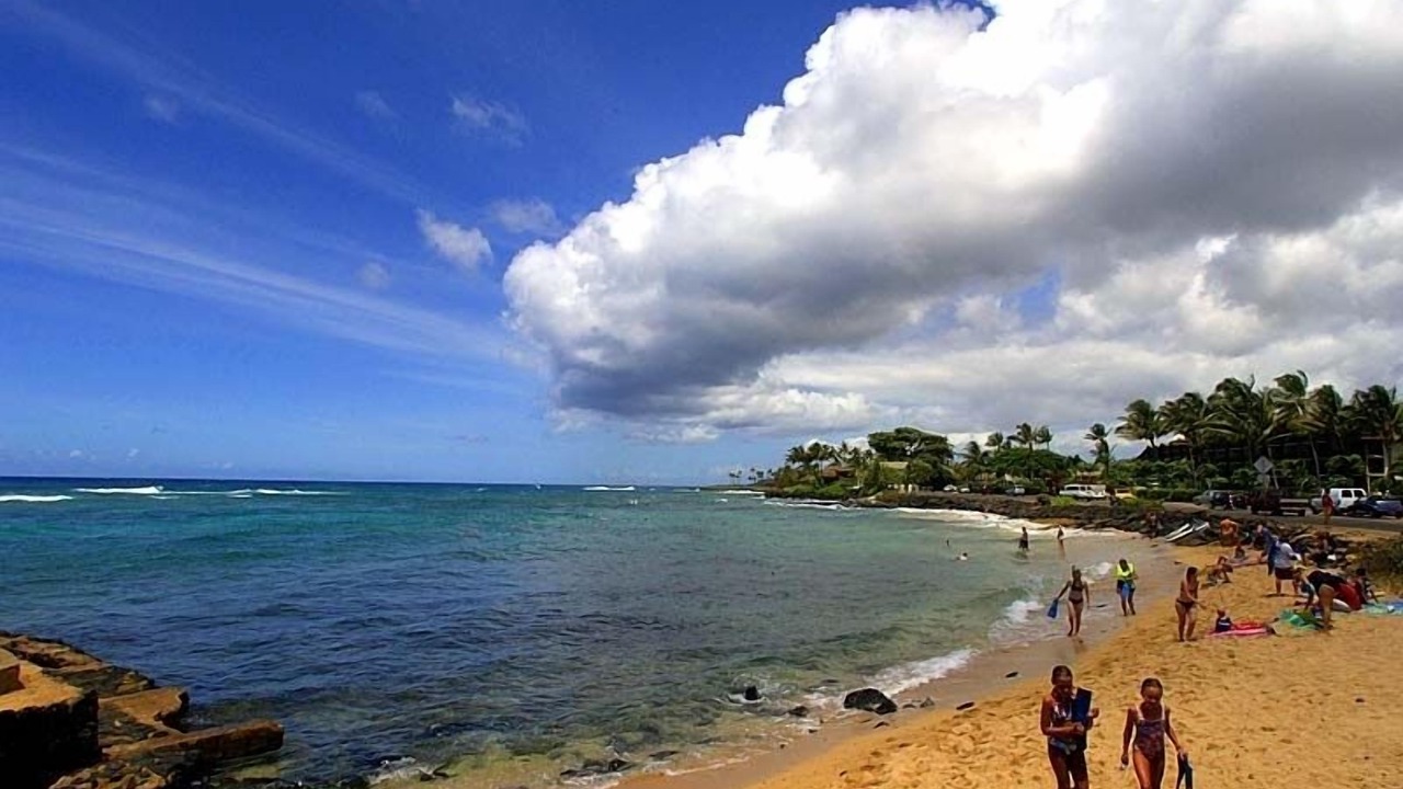 Photo of Others in Poipu