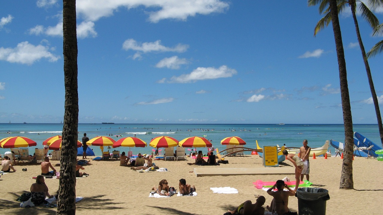 Photo of Others in Honolulu