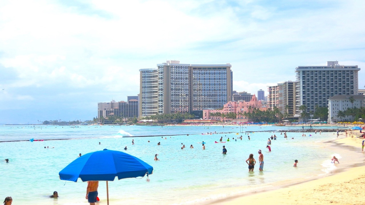 Photo of Others in Honolulu