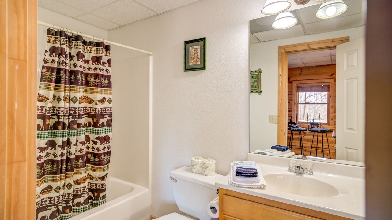 Photo of Bathroom in Helen